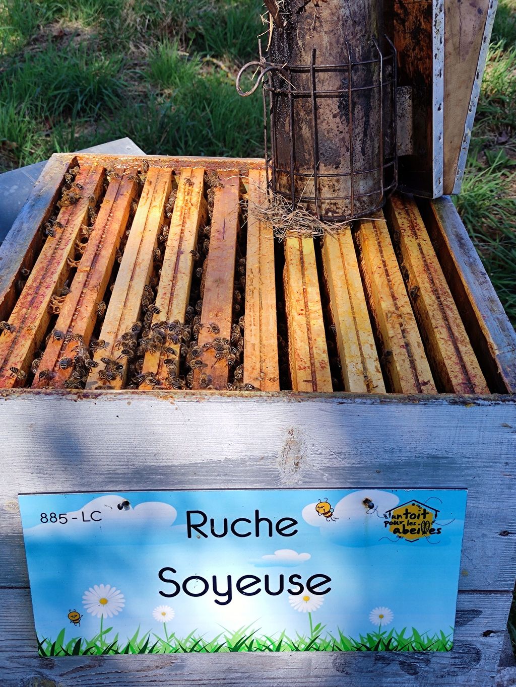La ruche Soyeuse