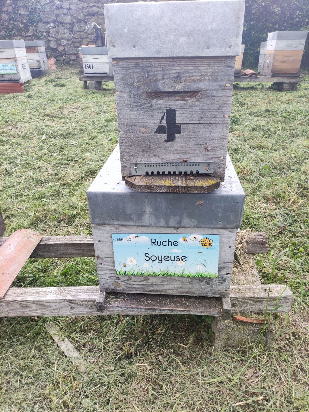 La ruche Soyeuse