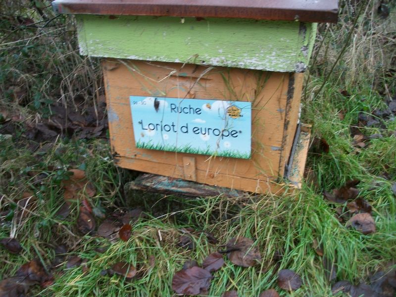 La ruche 