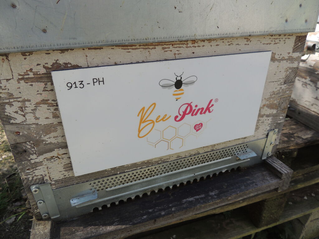 La ruche Pink Lady®