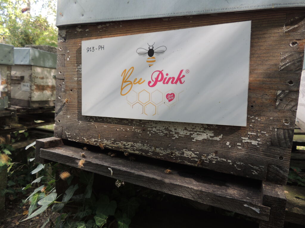 La ruche Pink Lady®