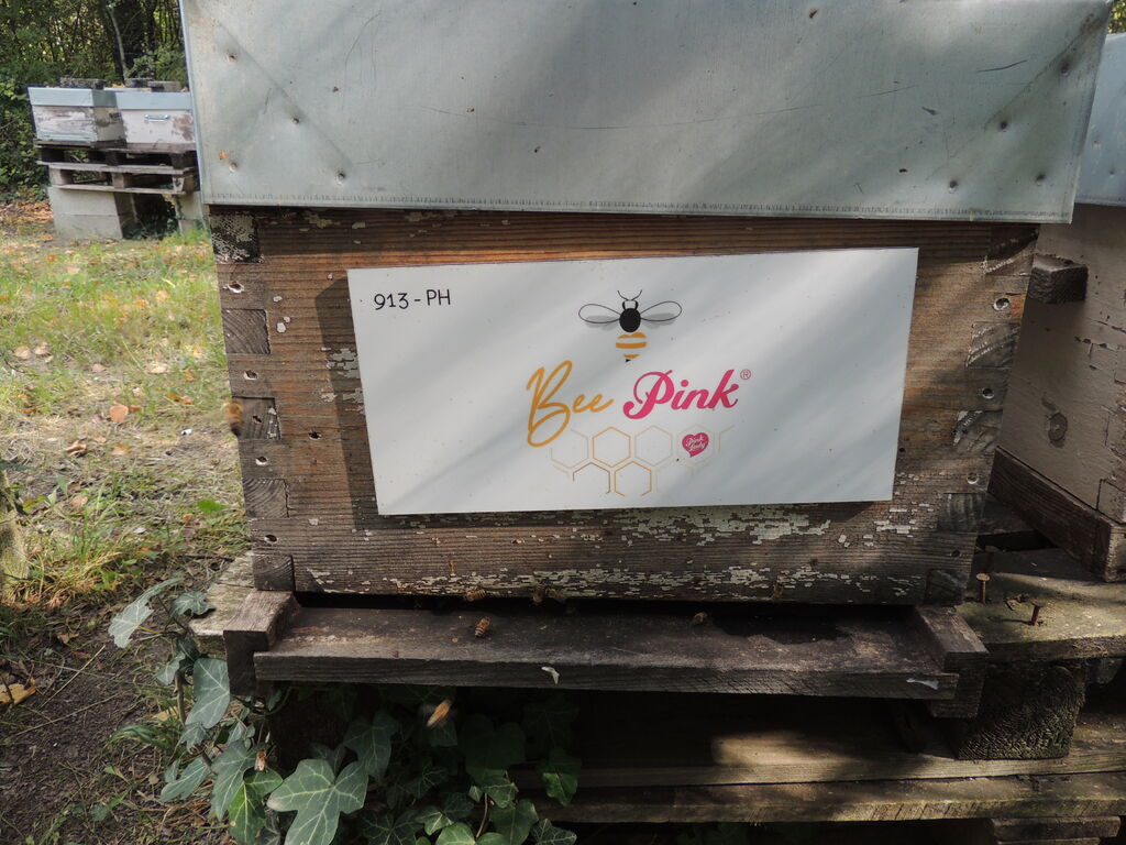 La ruche Pink Lady®