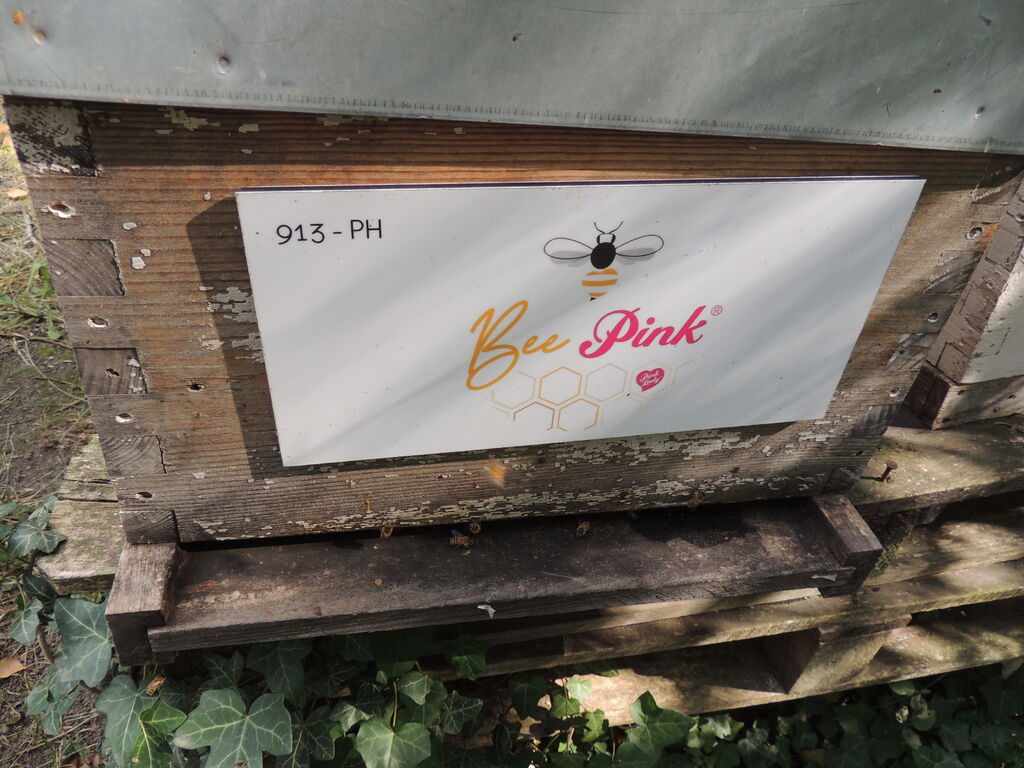 La ruche Pink Lady®