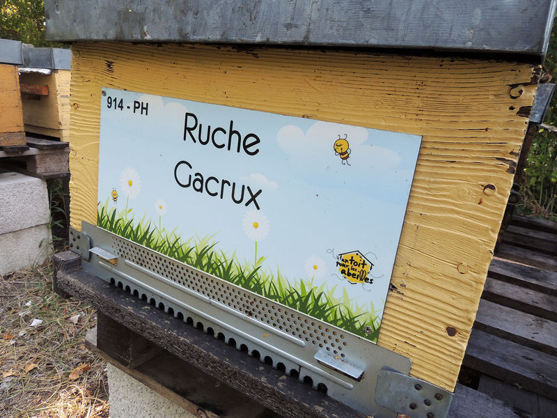 La ruche