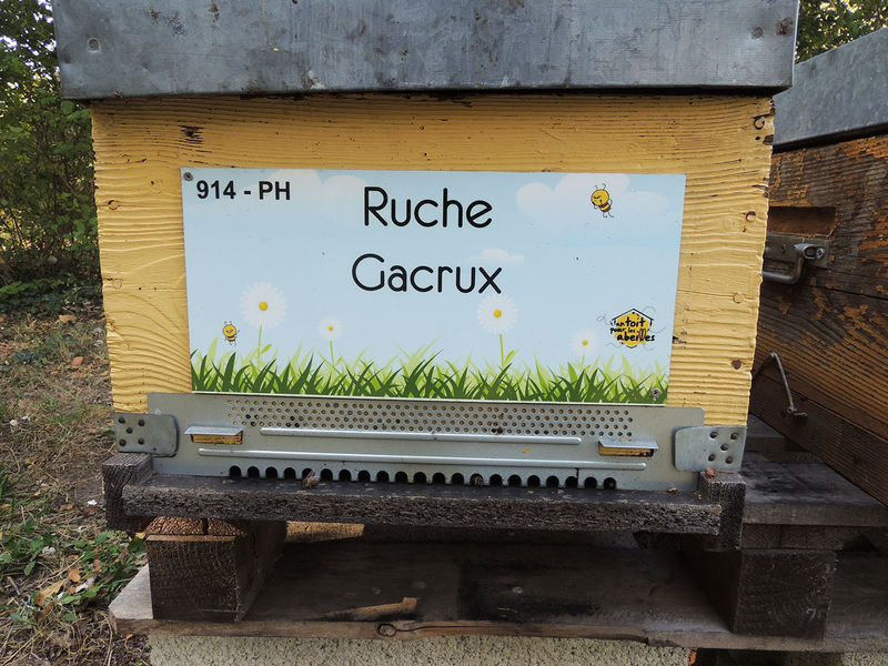 La ruche Gacrux