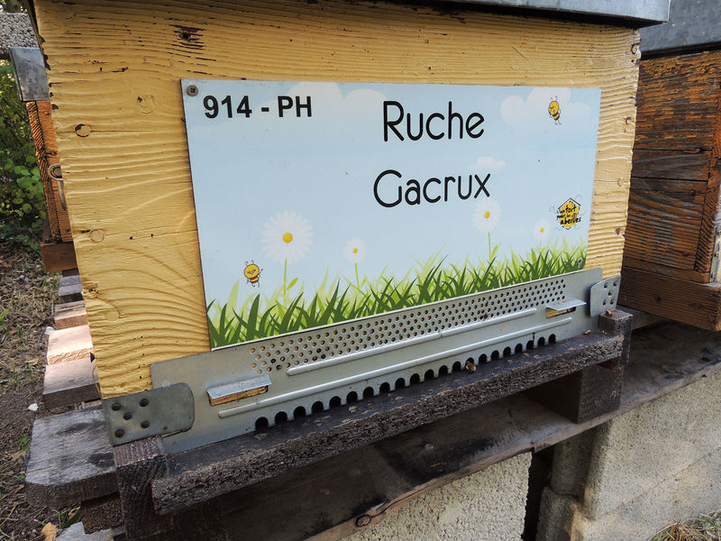 La ruche Gacrux