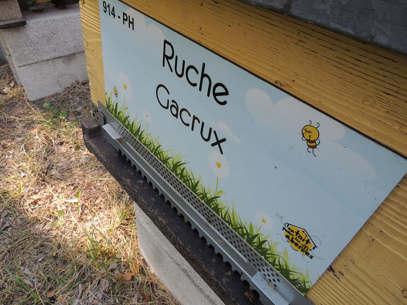 La ruche Gacrux