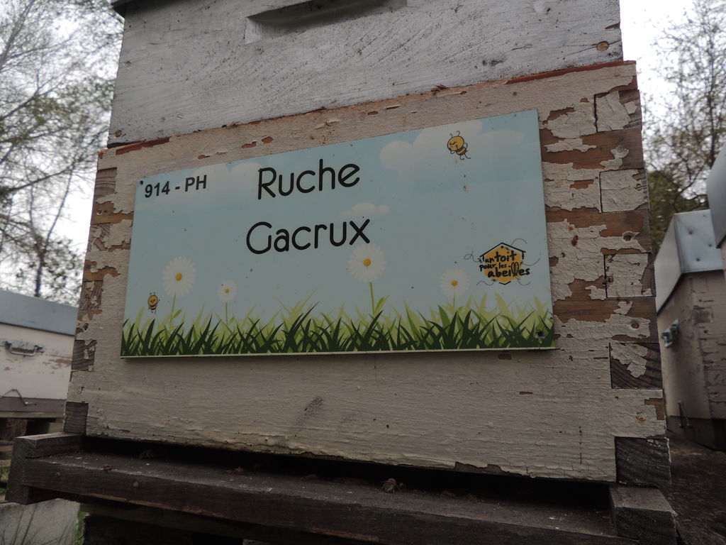 La ruche Gacrux