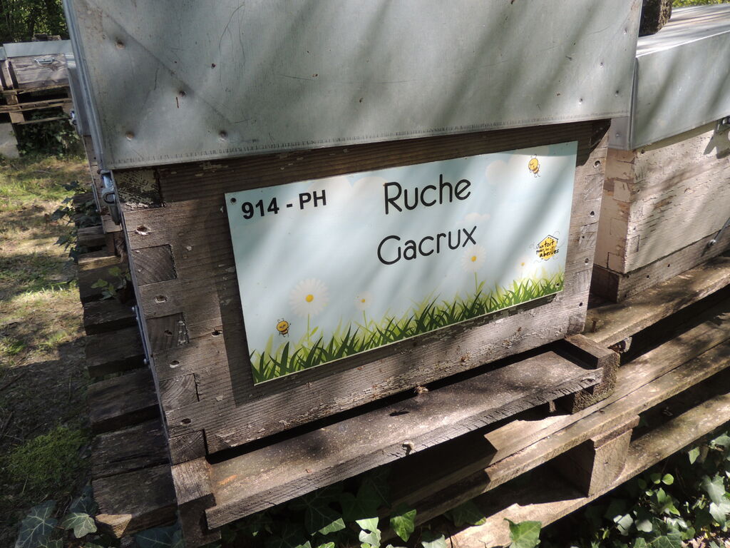 La ruche Gacrux
