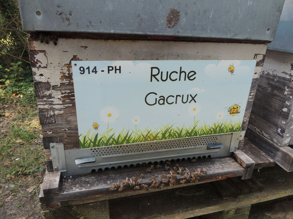La ruche Gacrux