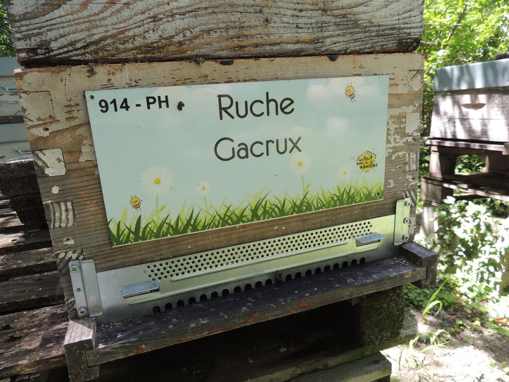 La ruche Gacrux