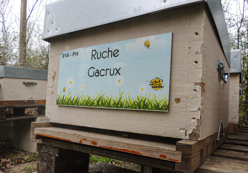 La ruche Gacrux