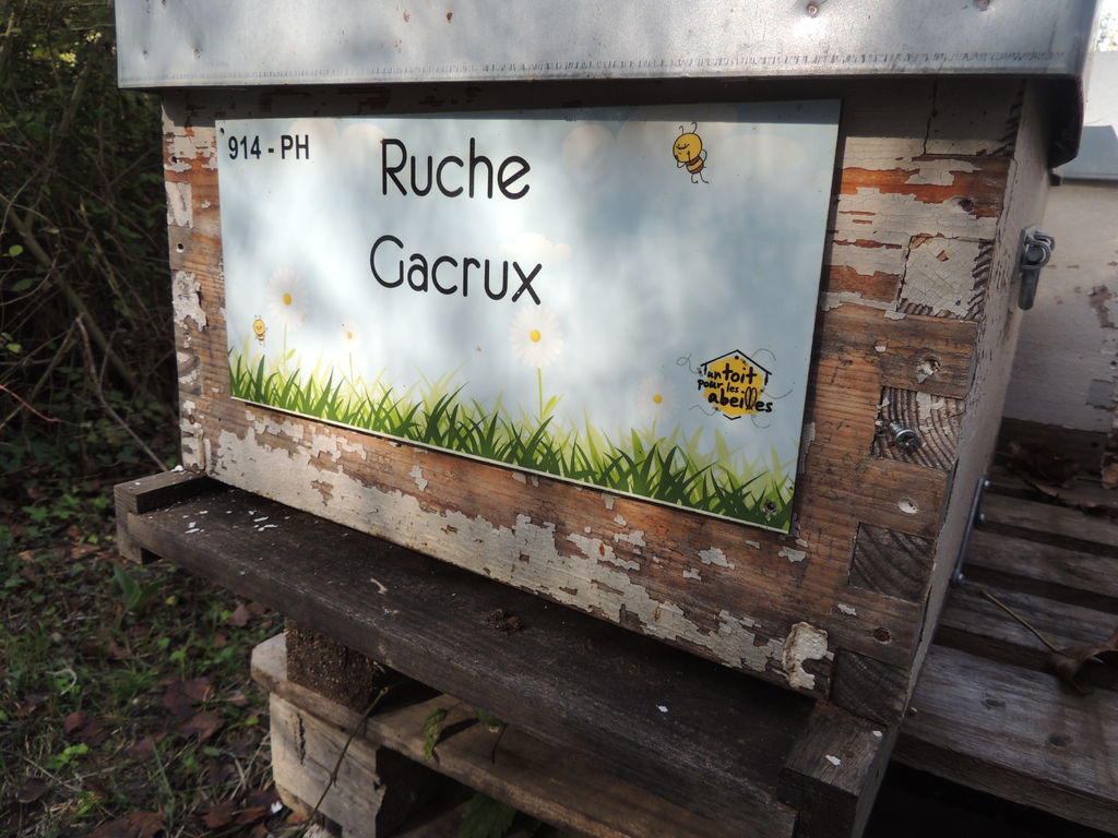 La ruche Gacrux