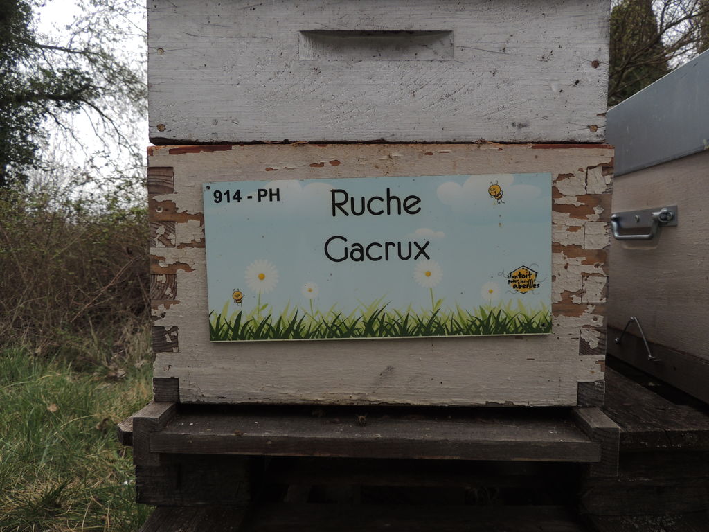 La ruche Gacrux