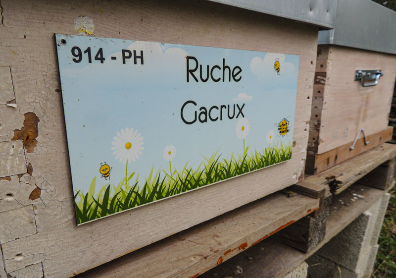 La ruche Gacrux