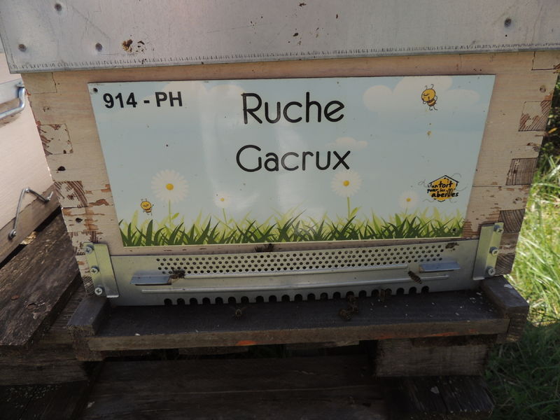 La ruche Gacrux
