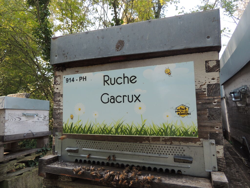 La ruche Gacrux