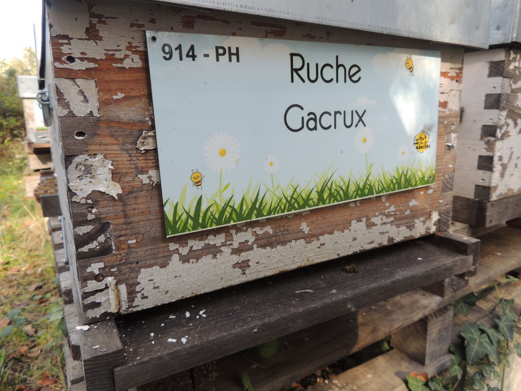 La ruche Gacrux