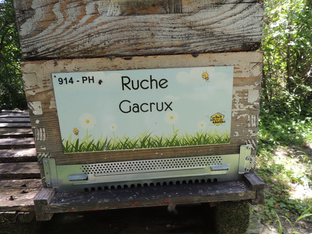 La ruche Gacrux