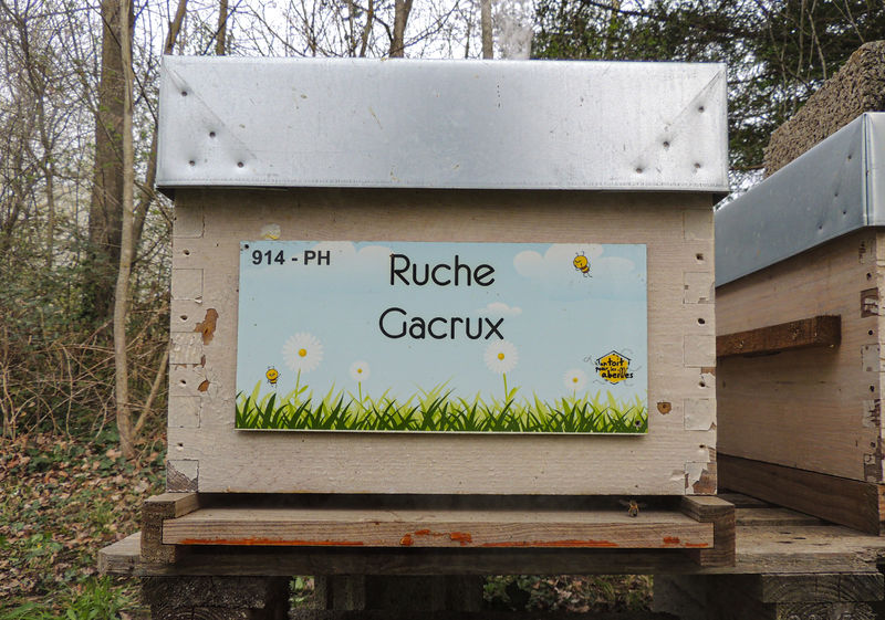 La ruche Gacrux