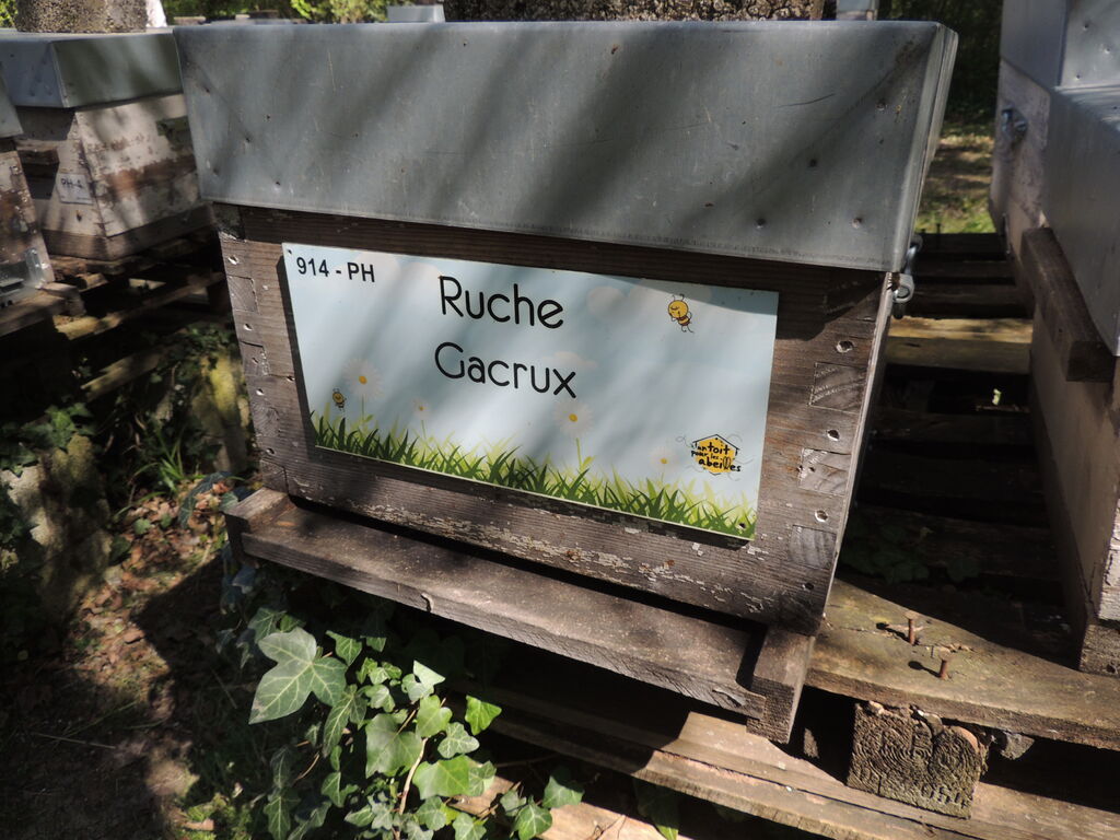 La ruche Gacrux