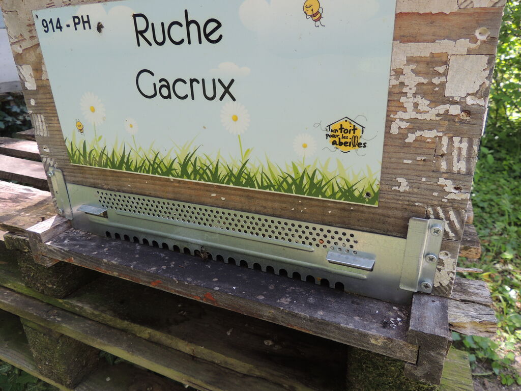 La ruche Gacrux