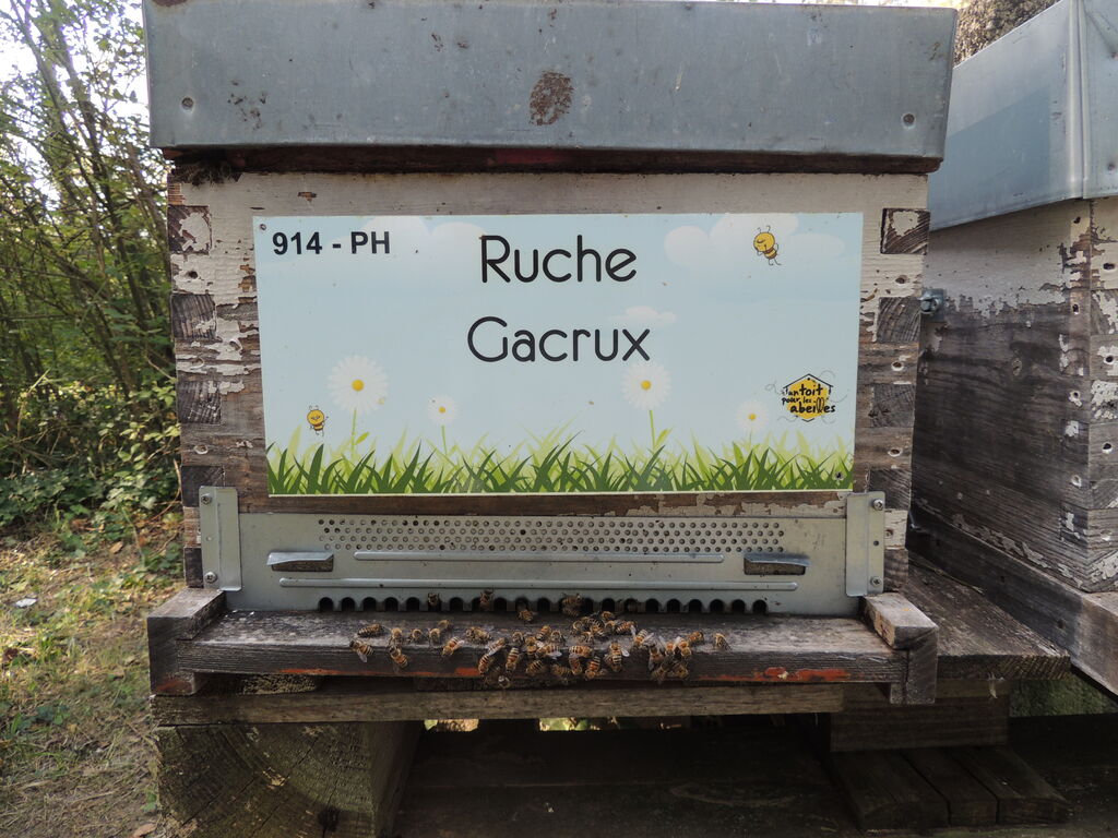 La ruche Gacrux