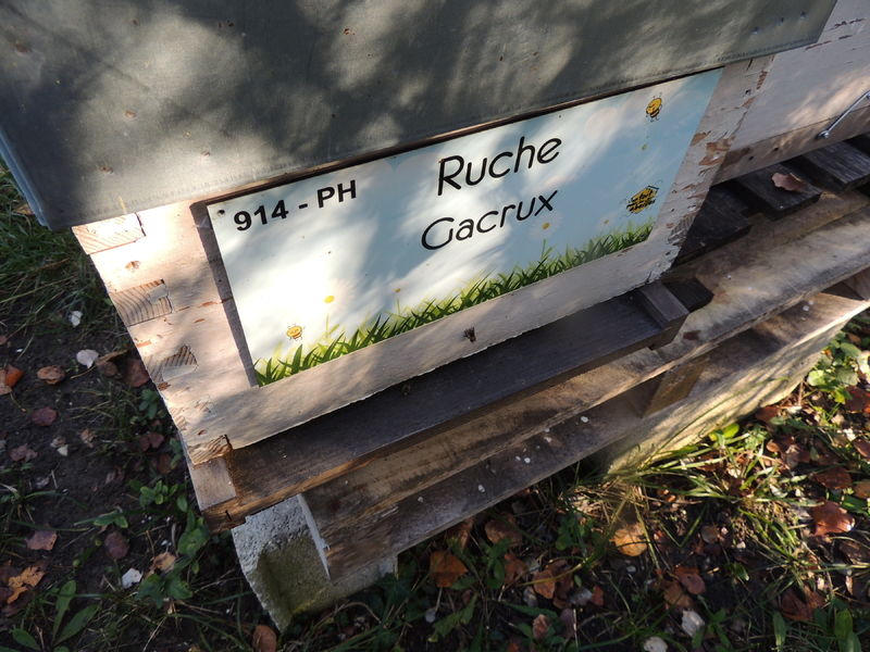 La ruche