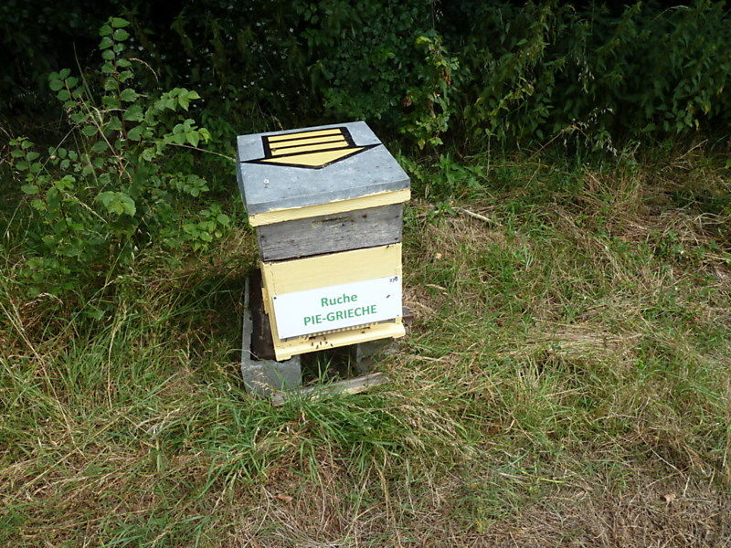 La ruche Pie-grièche