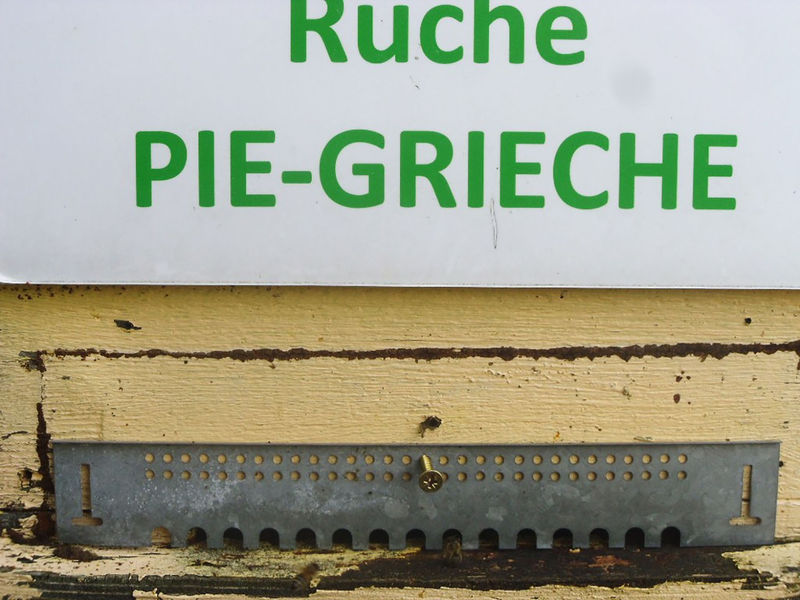 La ruche Pie-grièche