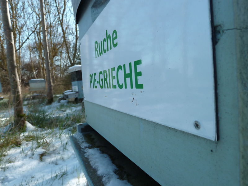 La ruche Pie-grièche