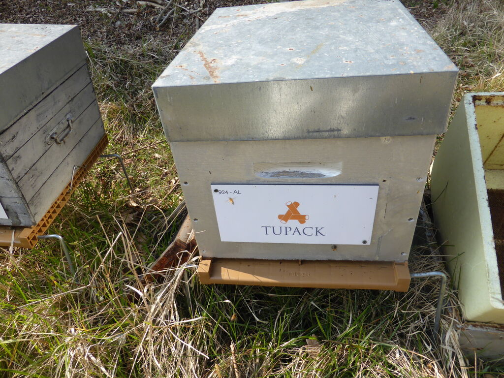 La ruche ALLPACK - TUPAK