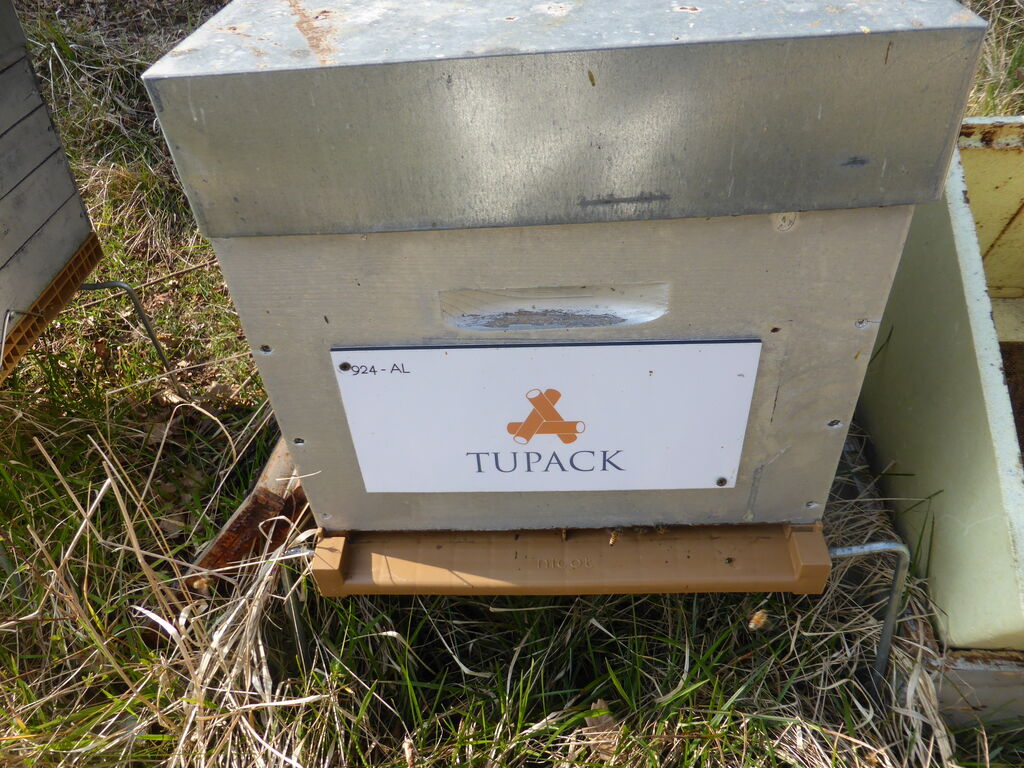 La ruche ALLPACK - TUPAK