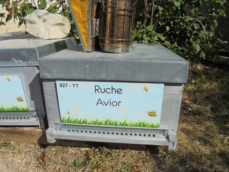La ruche Avior