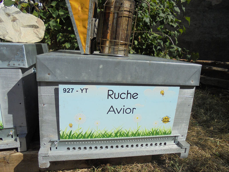 La ruche Avior