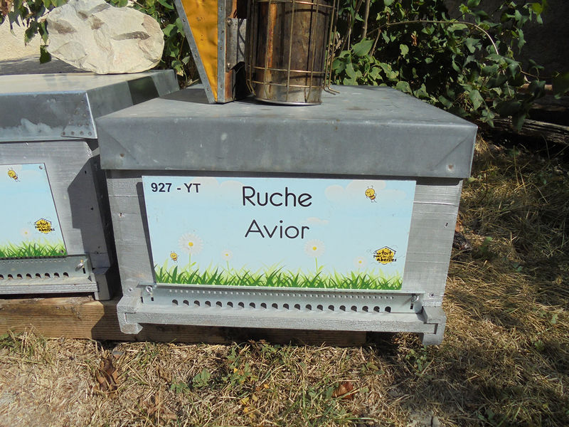 La ruche Avior