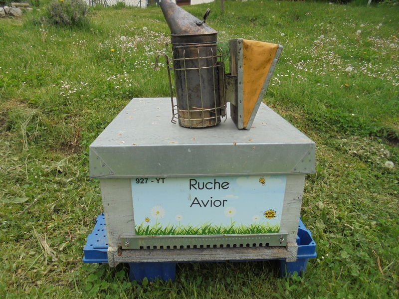 La ruche Avior