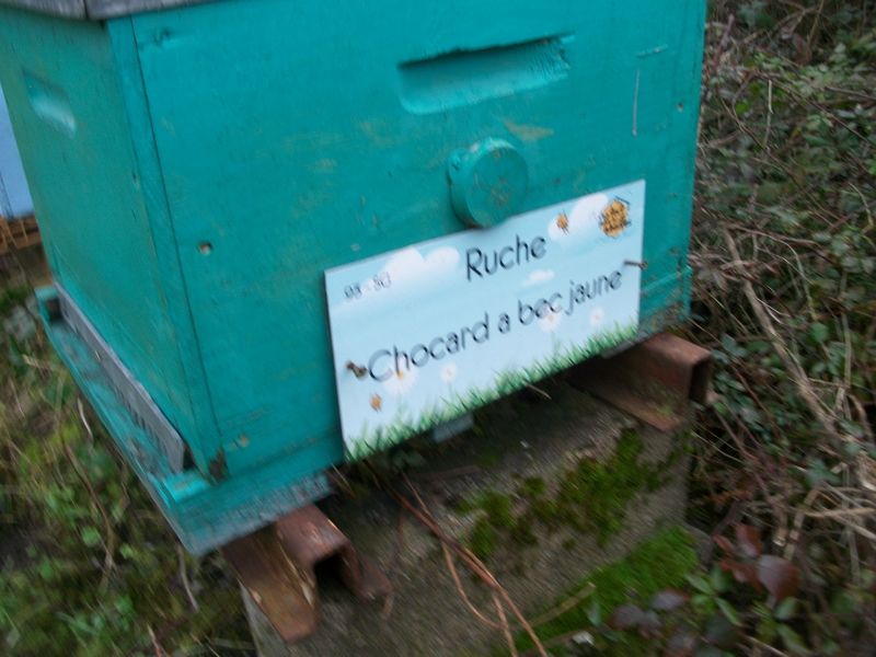 La ruche 