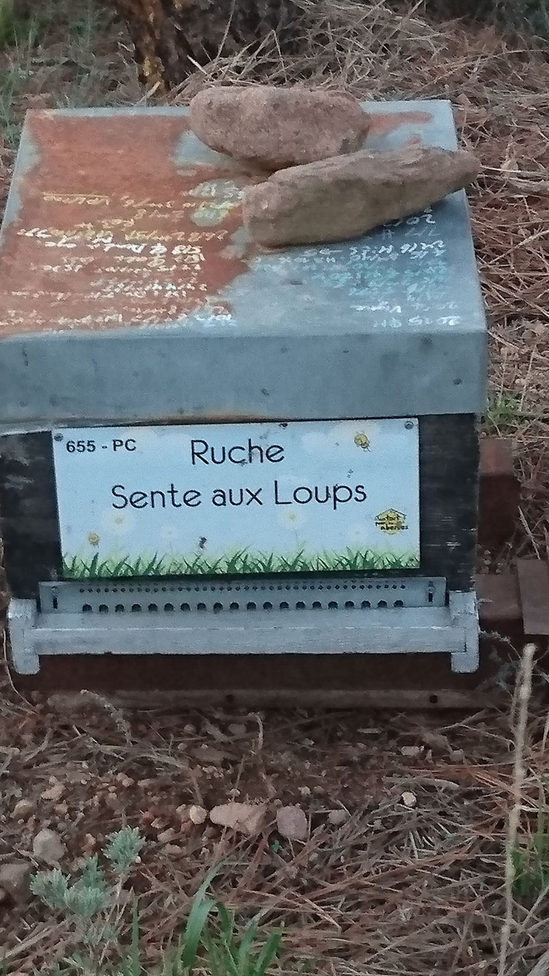 La ruche Sente aux Loups