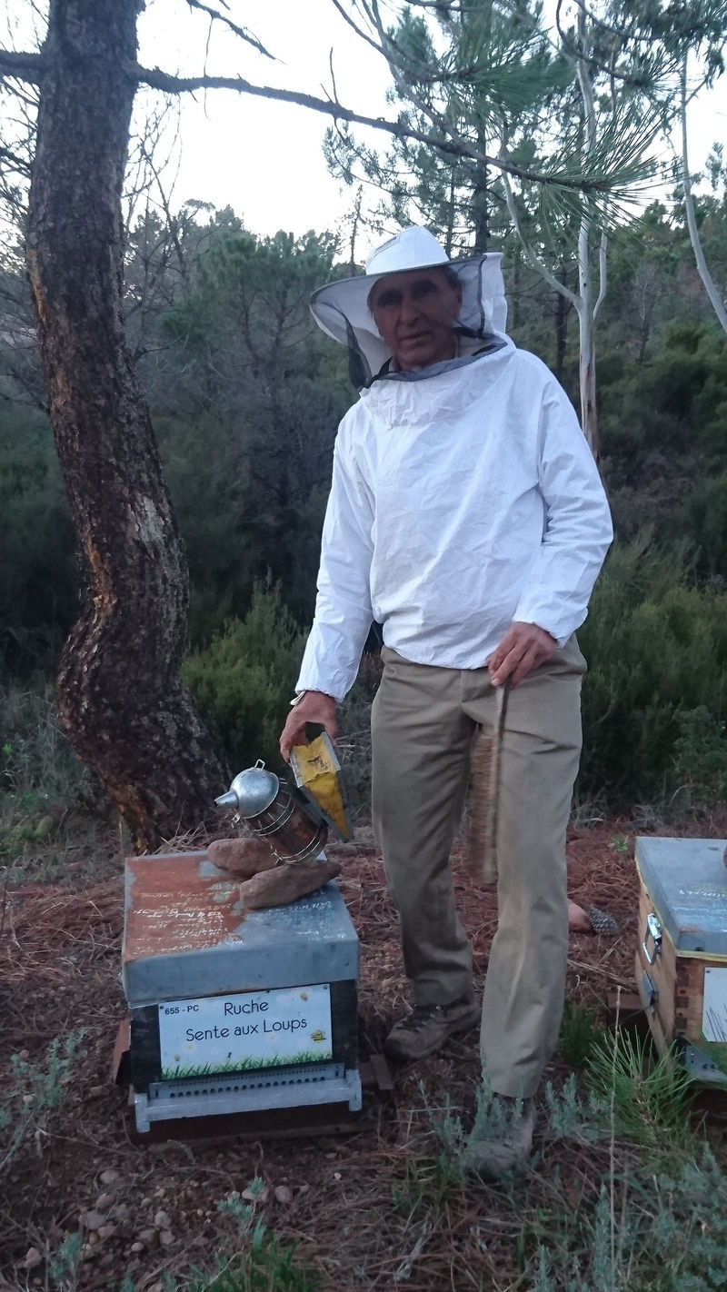La ruche Sente aux Loups