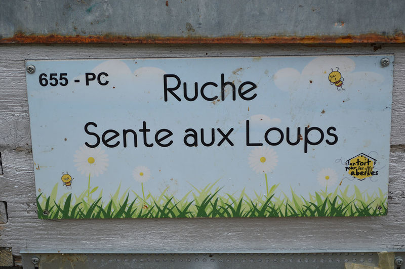 La ruche Sente aux Loups