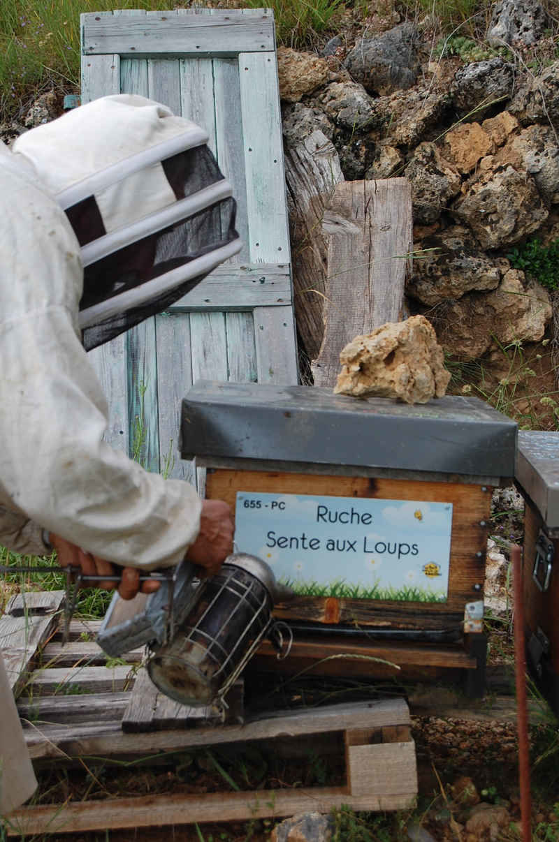 La ruche Sente aux Loups