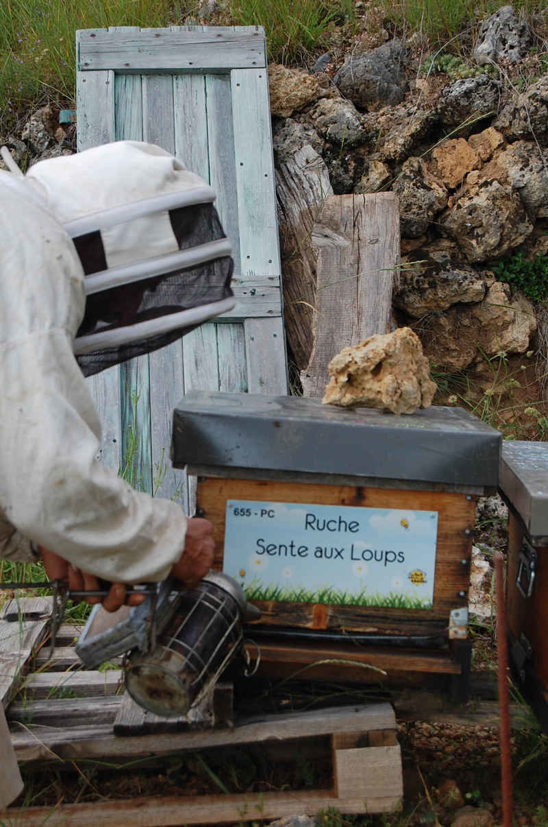La ruche Sente aux Loups
