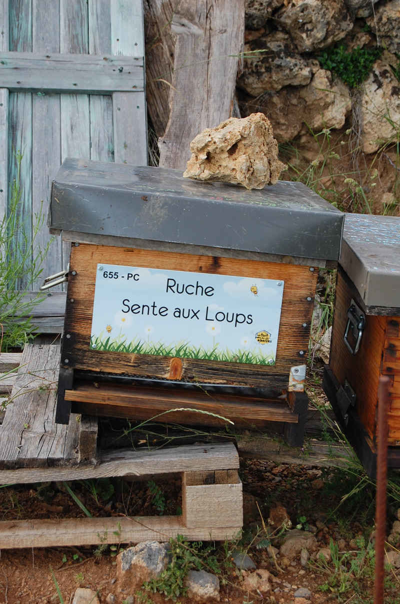 La ruche Sente aux Loups