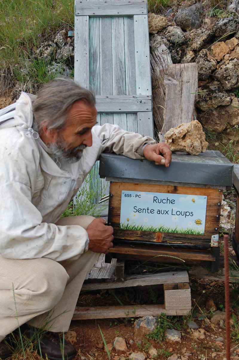 La ruche Sente aux Loups