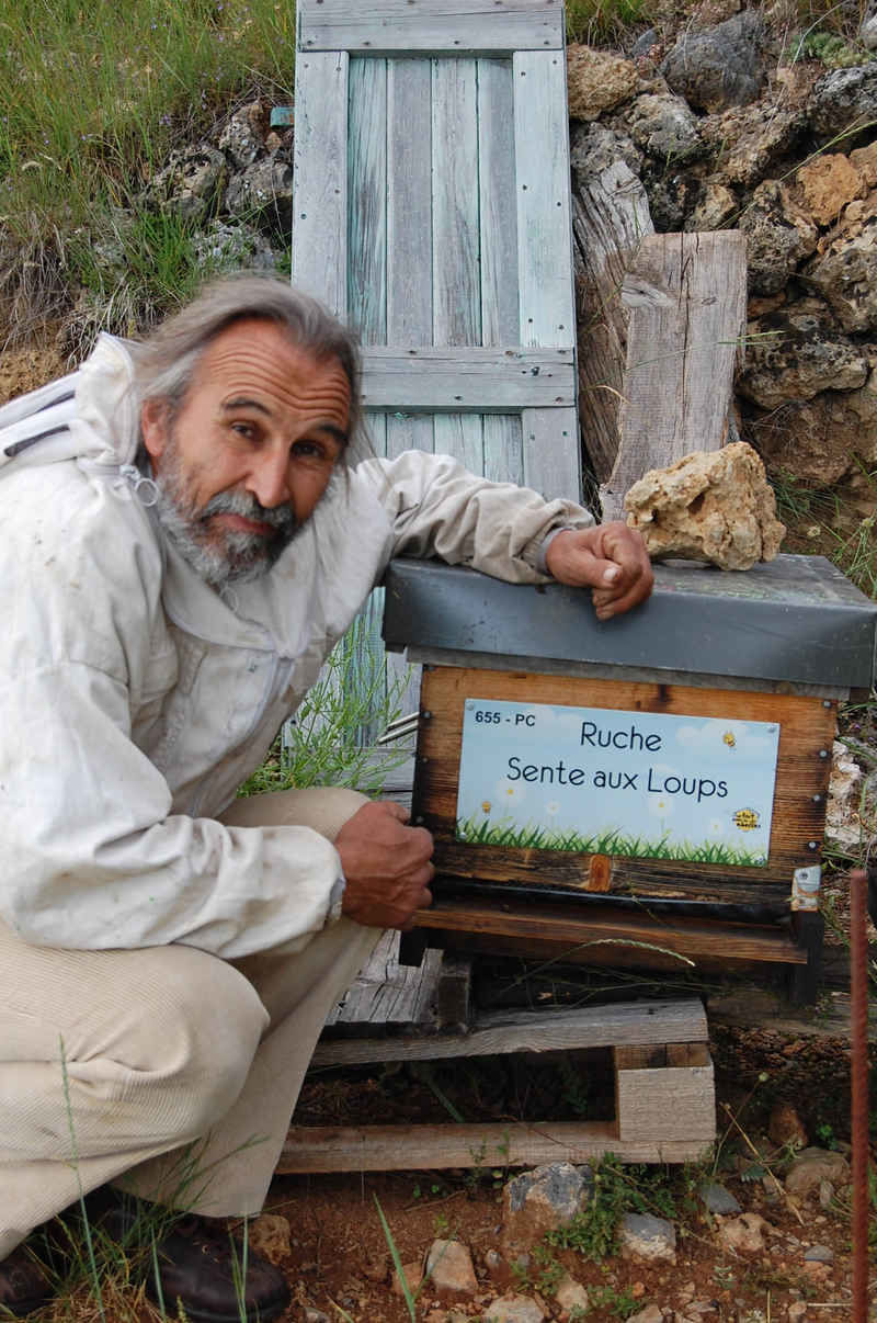 La ruche Sente aux Loups