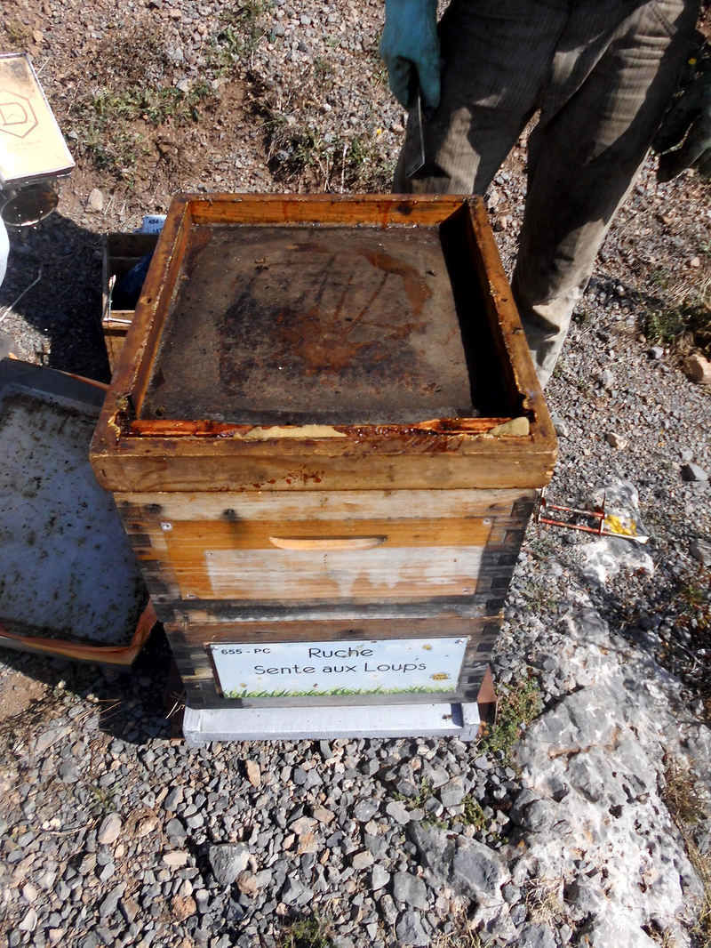 La ruche Sente aux Loups