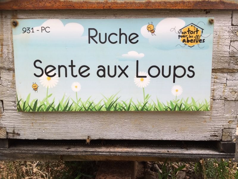 La ruche Sente aux Loups