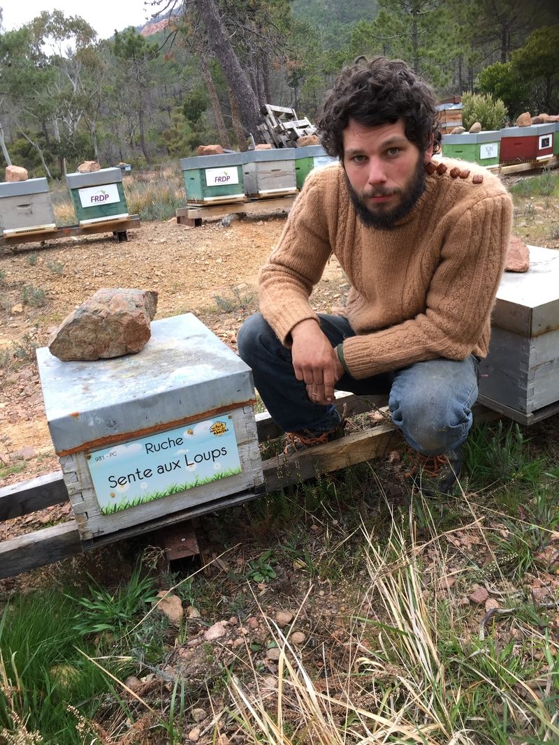 La ruche Sente aux Loups