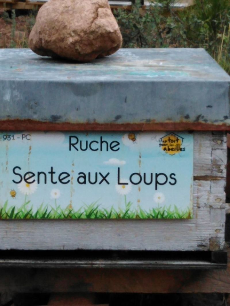 La ruche Sente aux Loups